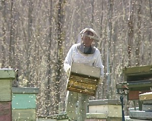 Checking Hives in the Winter